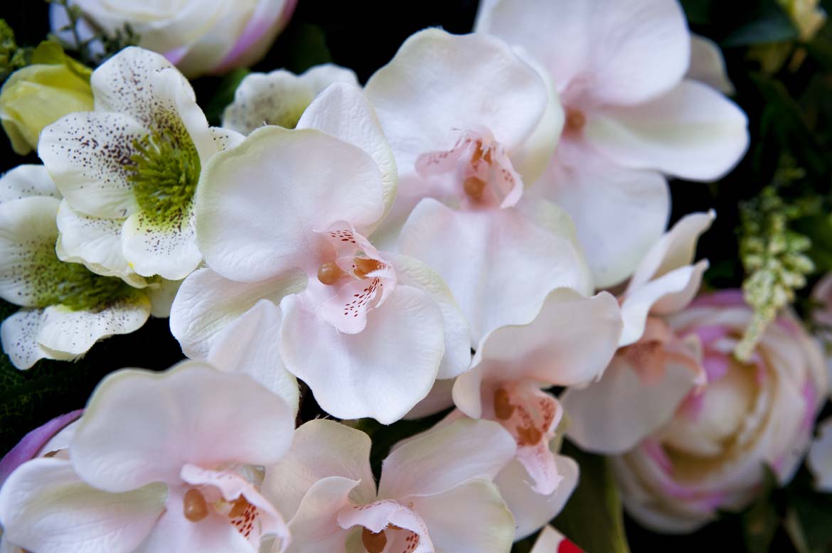 Centre Funeraire Charles - Renard DELA